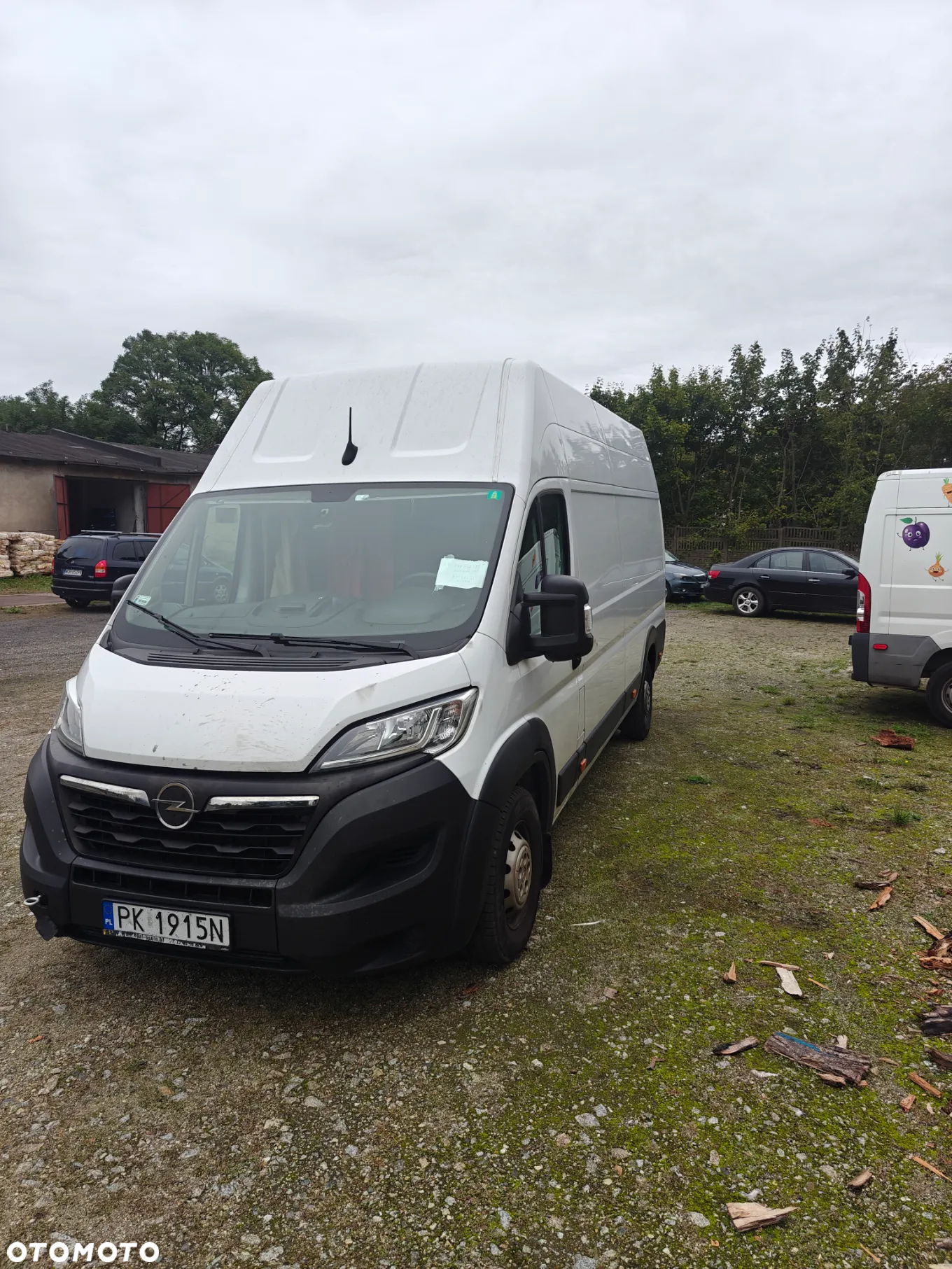 Opel Movano - 3