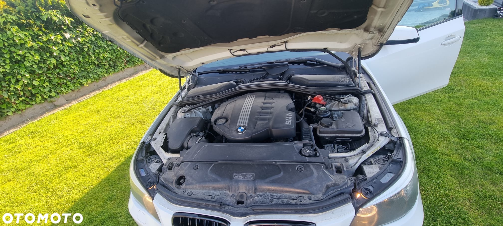 BMW Seria 5 - 8