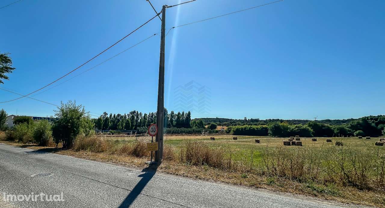 Terreno com 19.640 m² em Alcanena – Oportunidade! - Grande imagem: 4/11