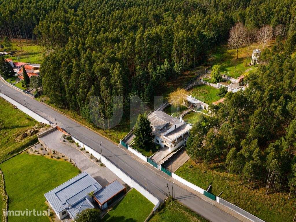 Propriedade com 23.000 m2, moradia principal e casa independente - ... - Grande imagem: 2/43