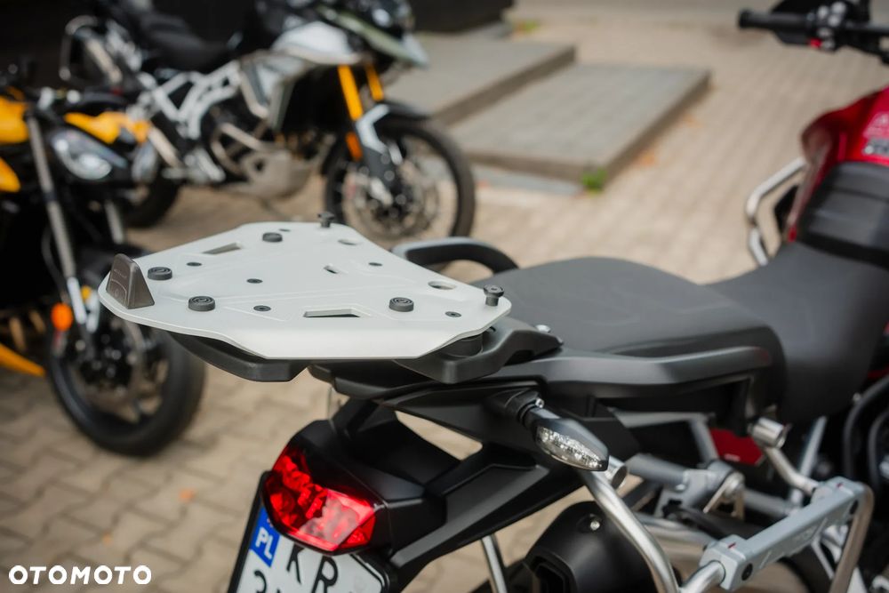 Triumph Tiger - 26