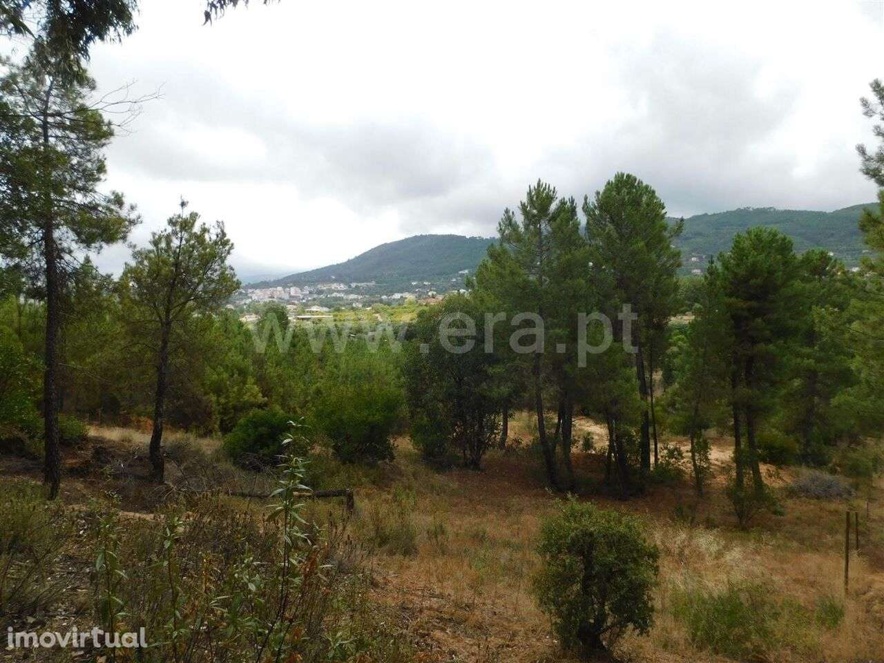 Terreno para Construção / Fundão, Aldeia Nova - Grande imagem: 4/12