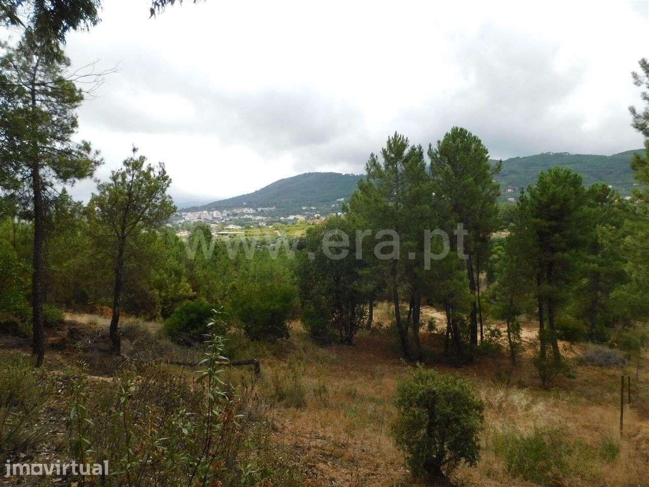Terreno para Construção / Fundão, Aldeia Nova - Grande imagem: 4/12