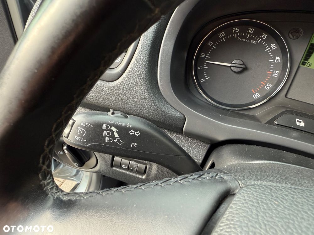 Skoda Fabia 1.6 TDI DPF Scout - 29