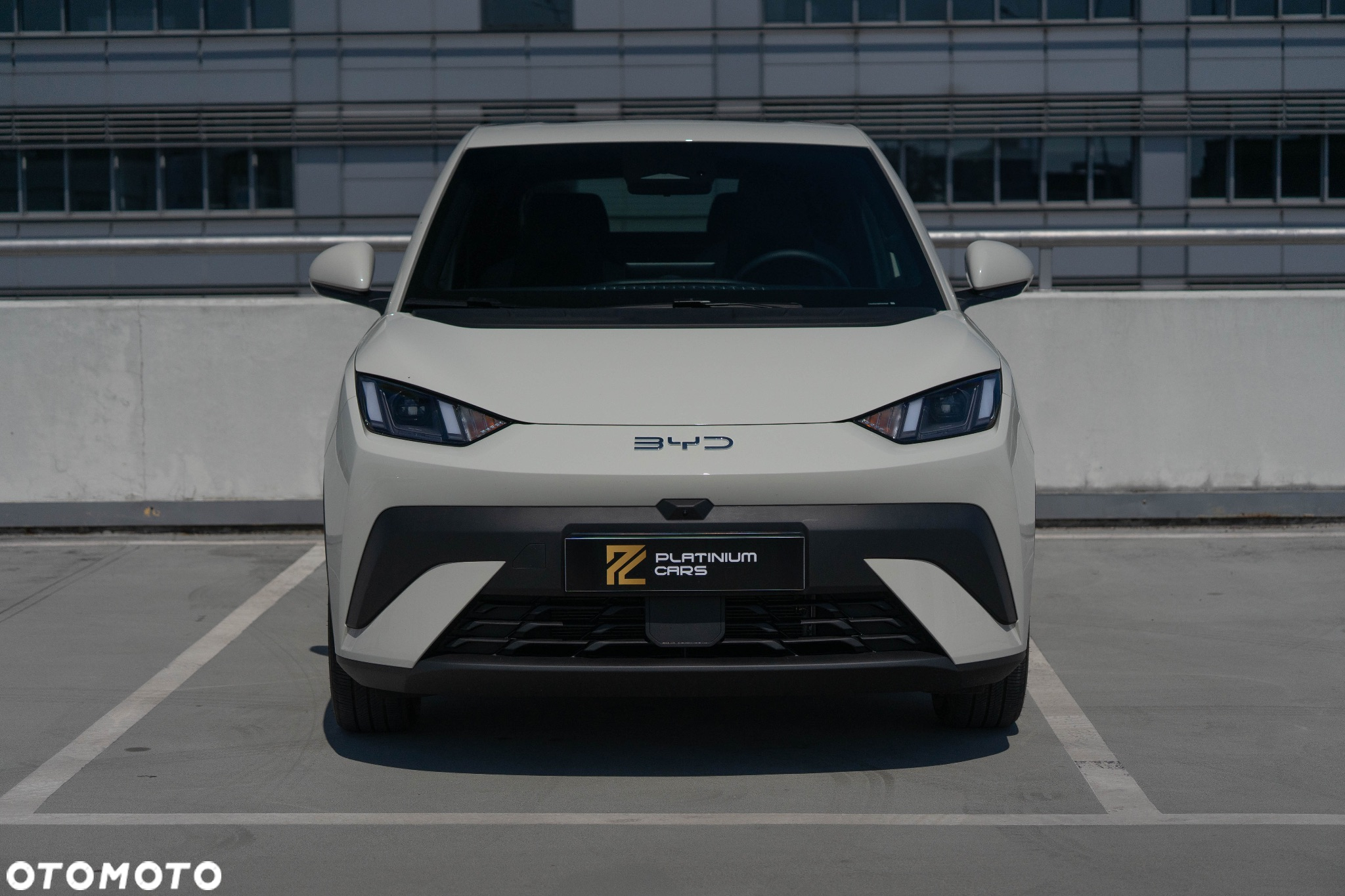 BYD Dolphin - 2