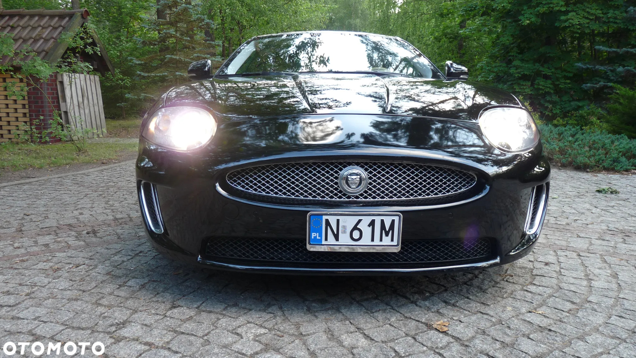 Jaguar XK 5.0 Coupe Portfolio - 2