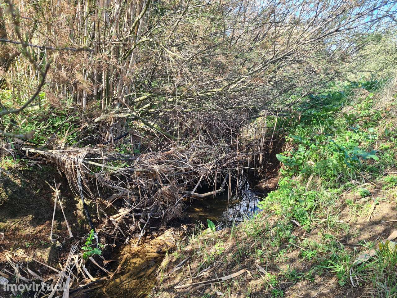 Herdade de 60,7 hectares a poucos minutos da A2 - Grande imagem: 4/24