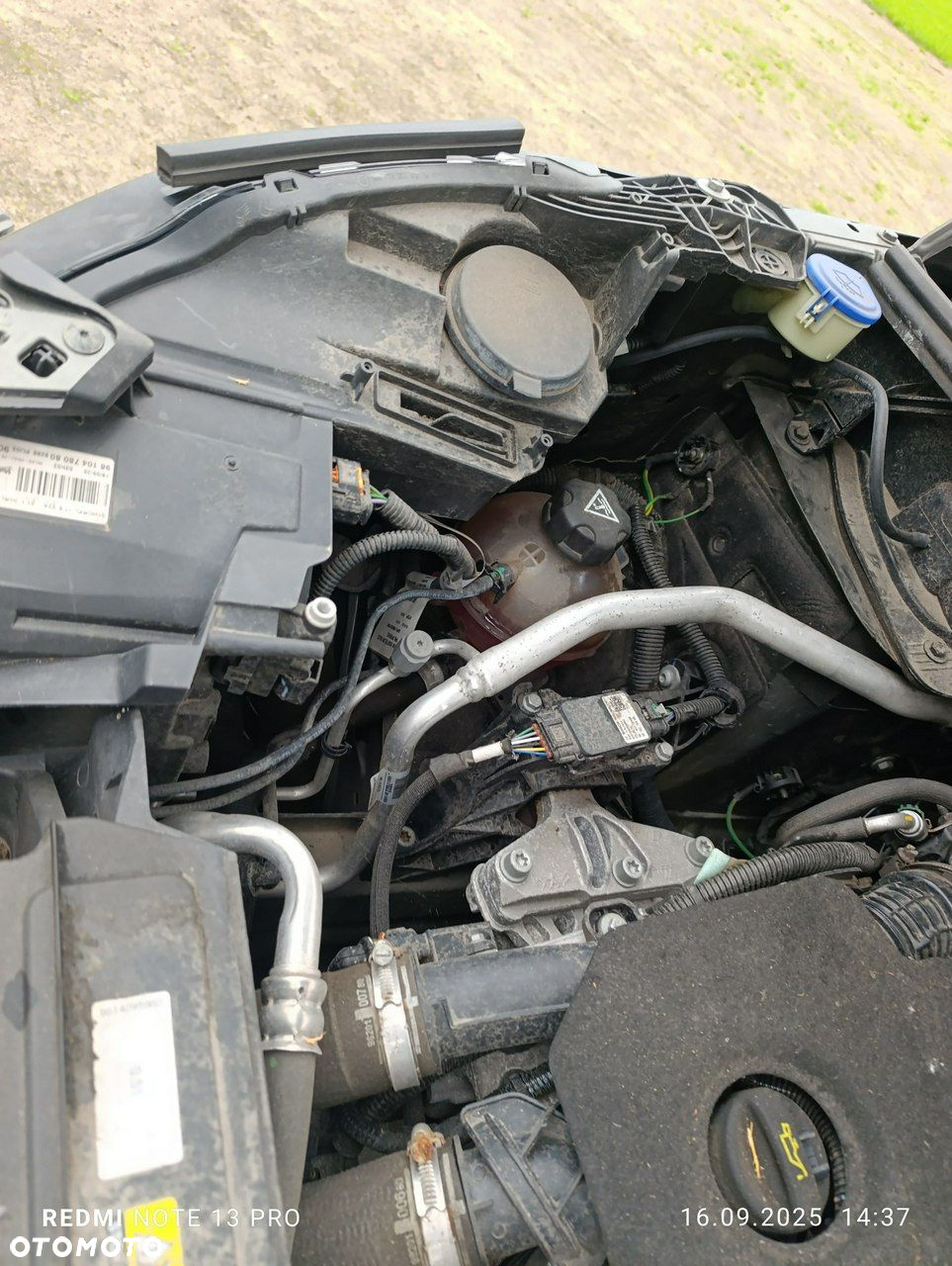 Peugeot 5008 - 19