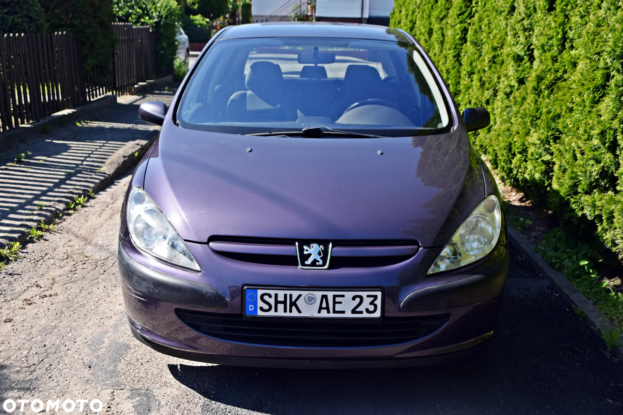 Peugeot 307 1.6 - 8