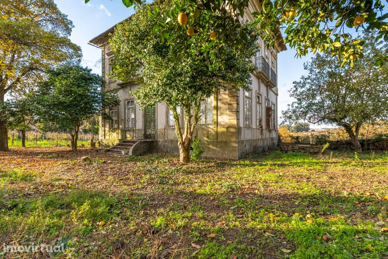 Moradia Senhorial - Felgueiras - Grande imagem: 2/36