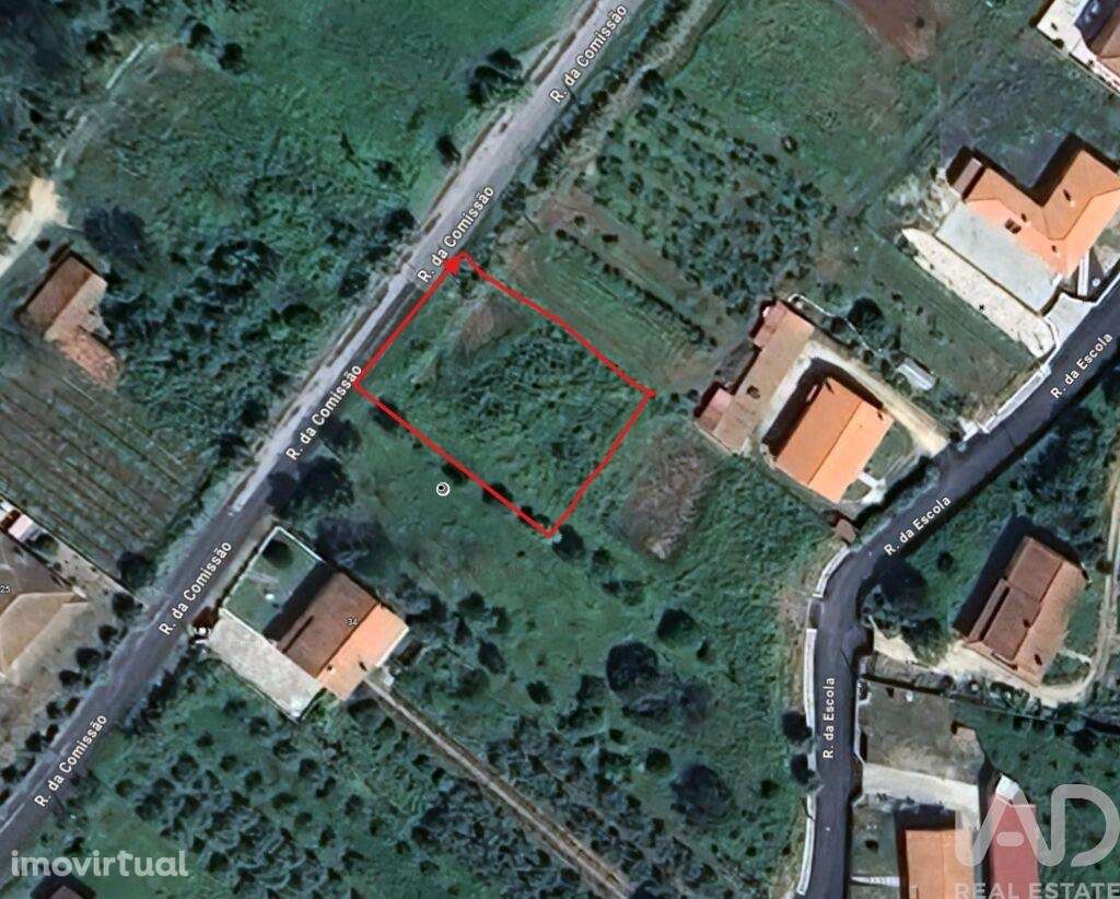 Terreno para construção em Rio Maior - Grande imagem: 3/30