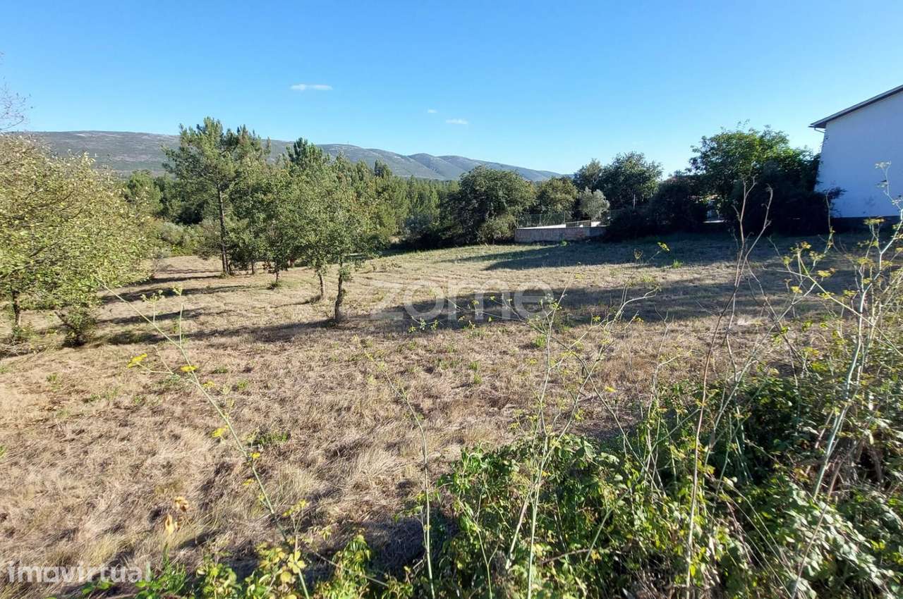 Terreno para construção com 7080 m2 na Cumeira de Cima, Juncal - Grande imagem: 2/26