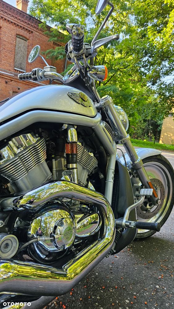 Harley-Davidson V-Rod Street Rod - 12