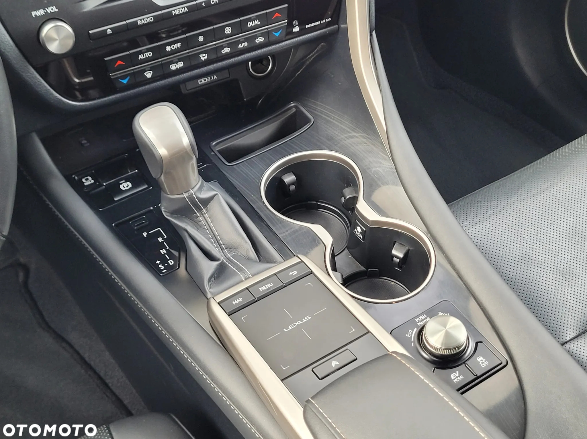 Lexus RX 450h F-Impression - 18