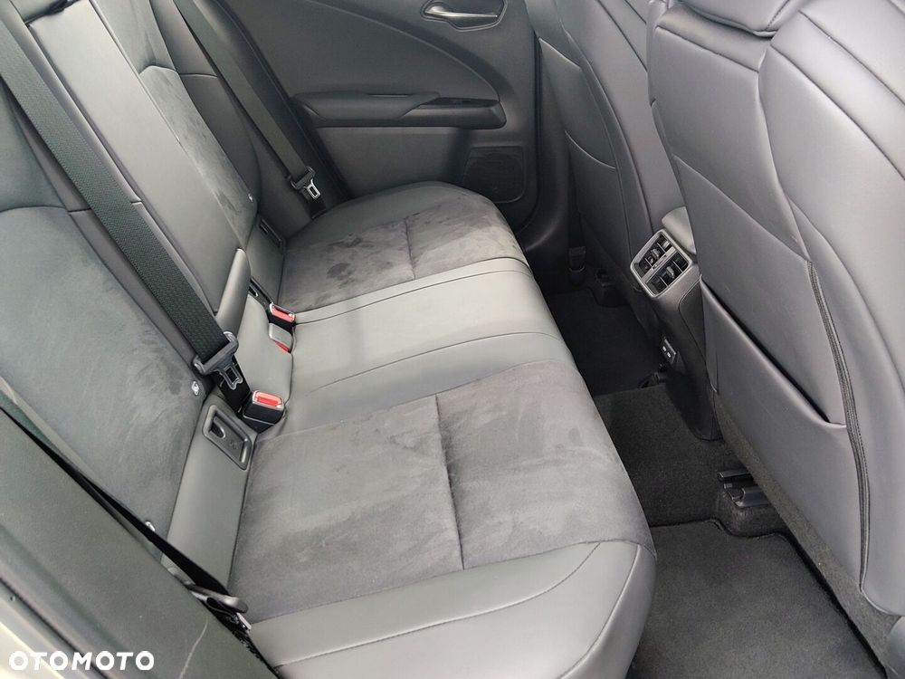 Lexus UX 250h GPF F Sport Edition 2WD - 16