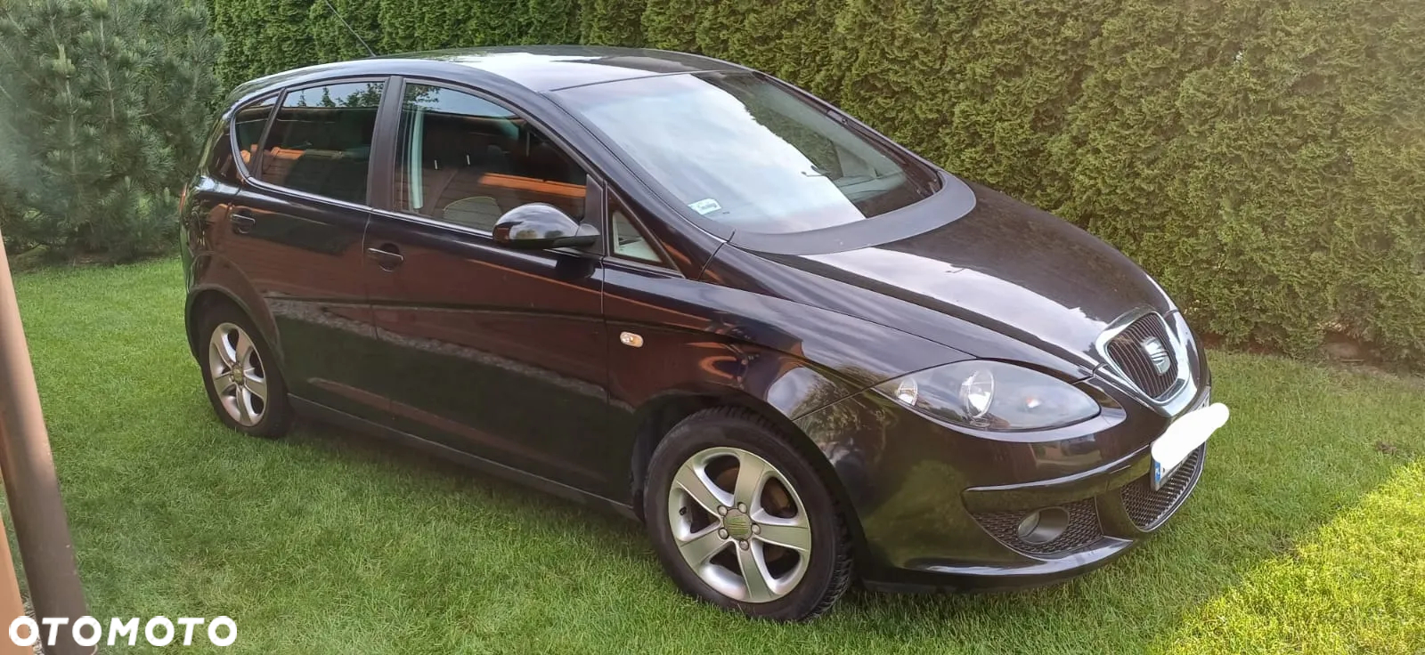 Seat Altea 1.6 Rebel II - 7