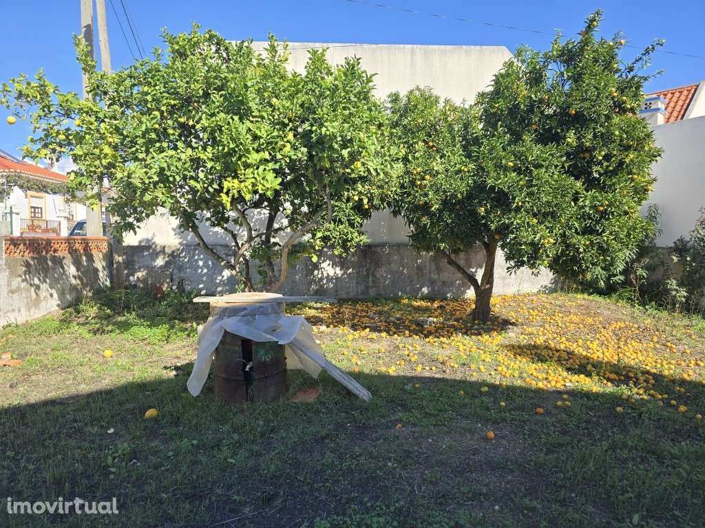 Moradia com Garagem e Quintal - Grande imagem: 3/22