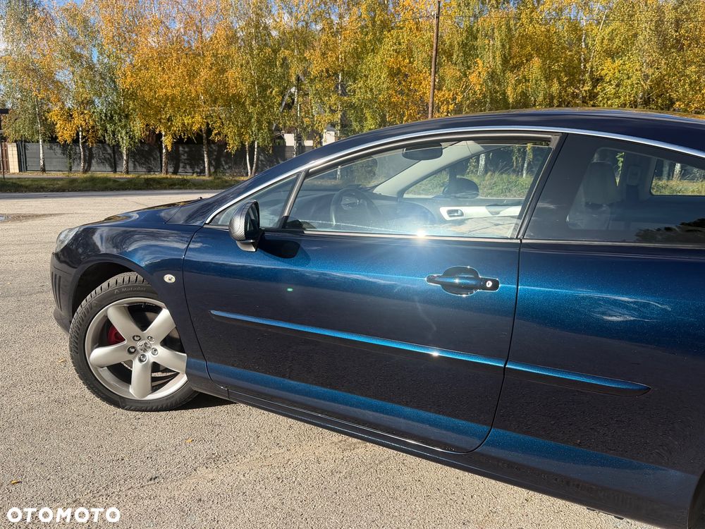 Peugeot 407 - 30
