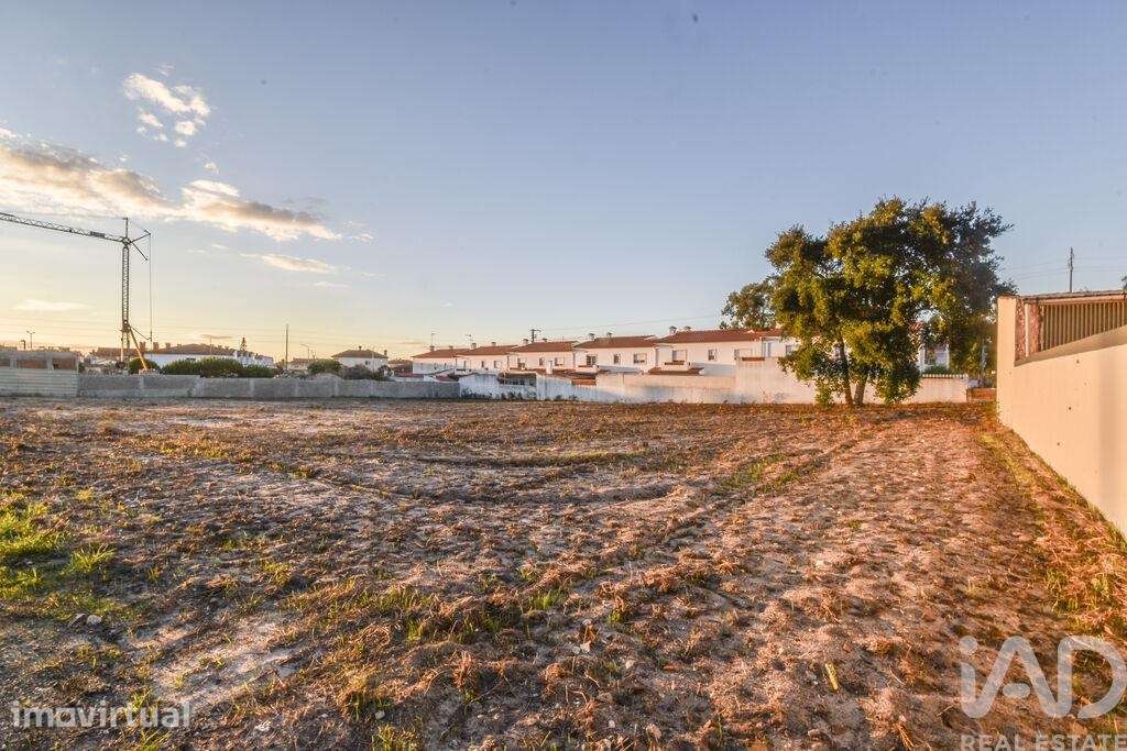 Terreno Agrícola em Marinha Grande - Grande imagem: 5/6