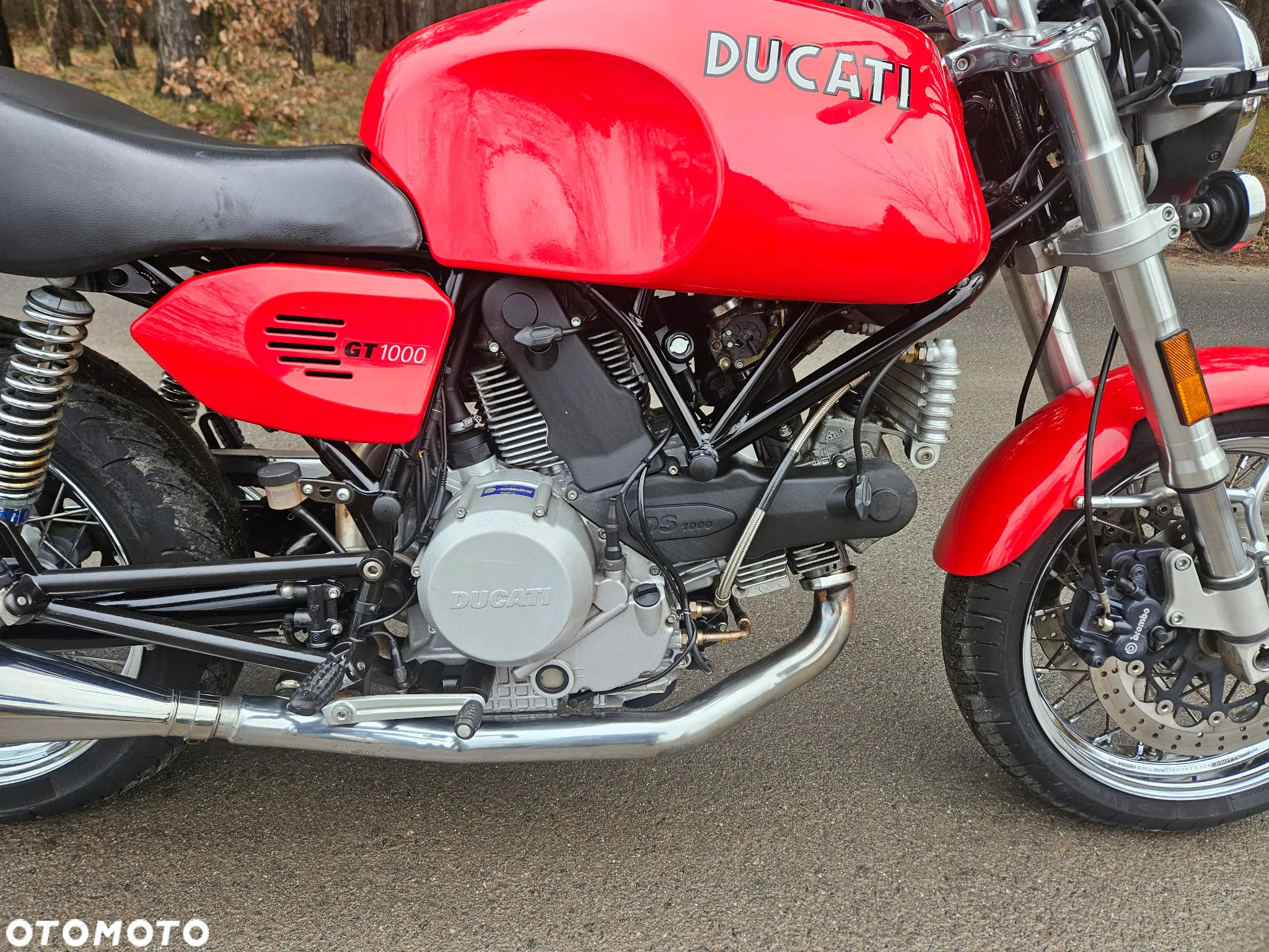 Ducati Sport Classic - 5