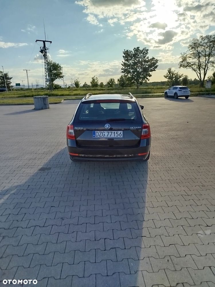 Skoda Octavia - 9