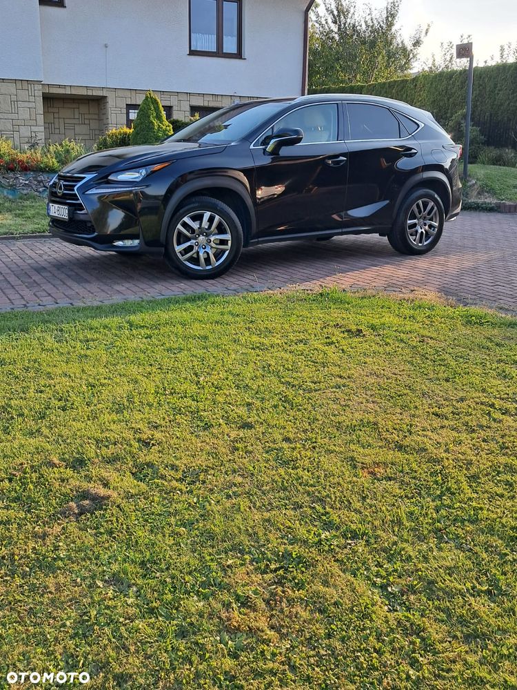 Lexus NX - 28