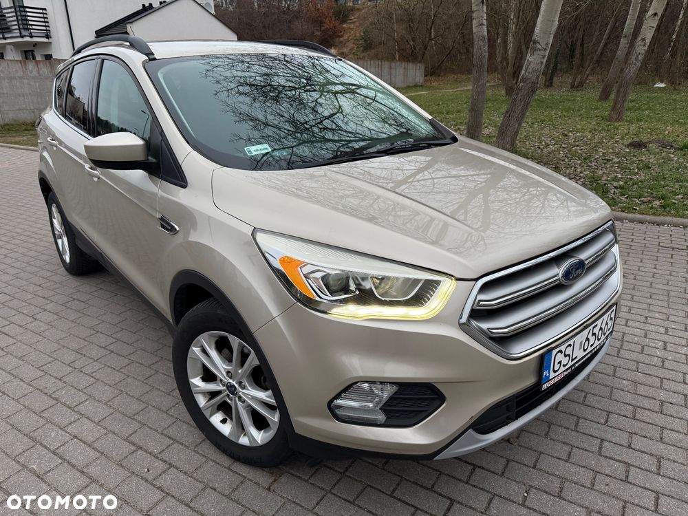 Ford Escape - 1