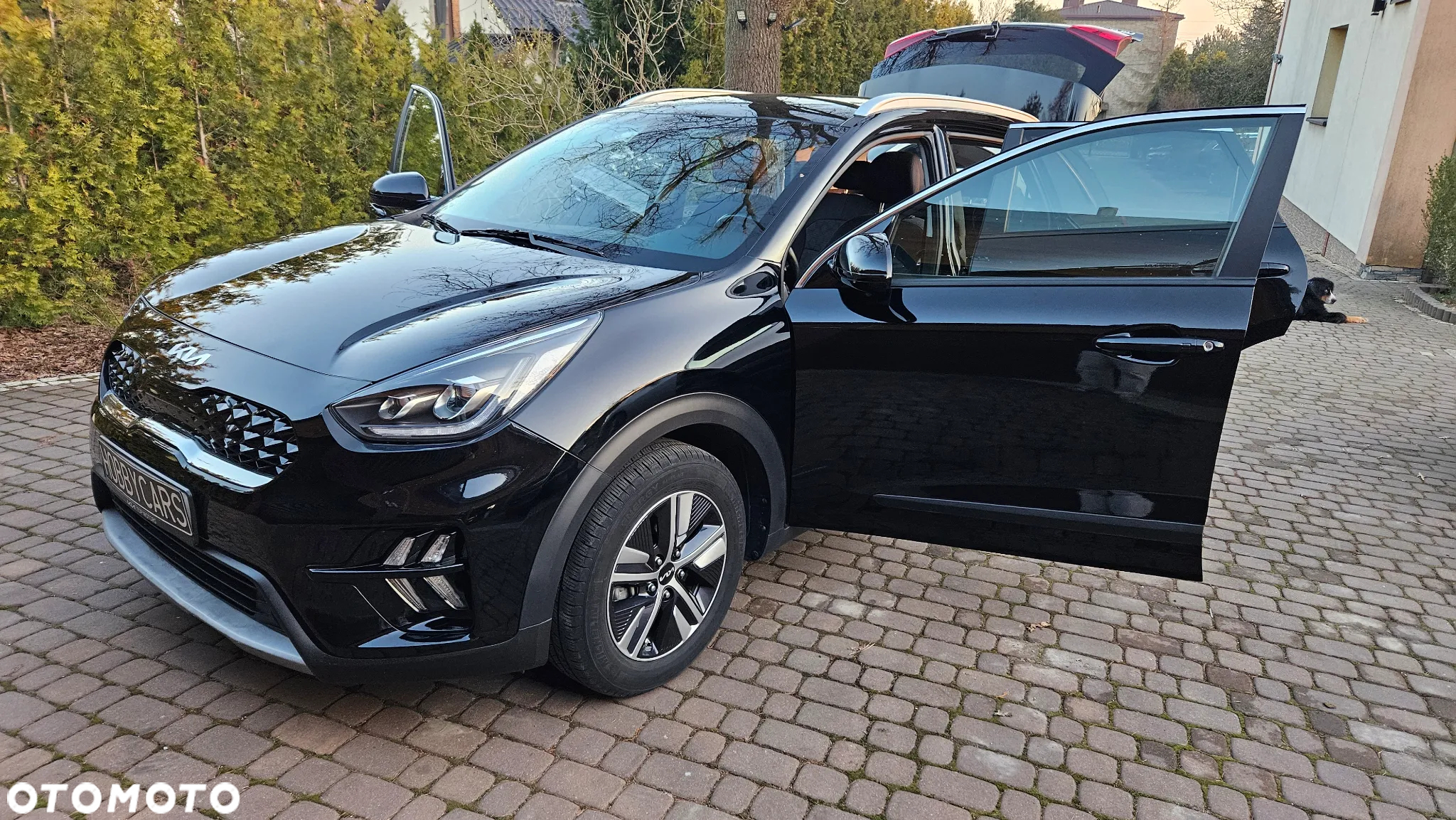 Kia Niro - 2