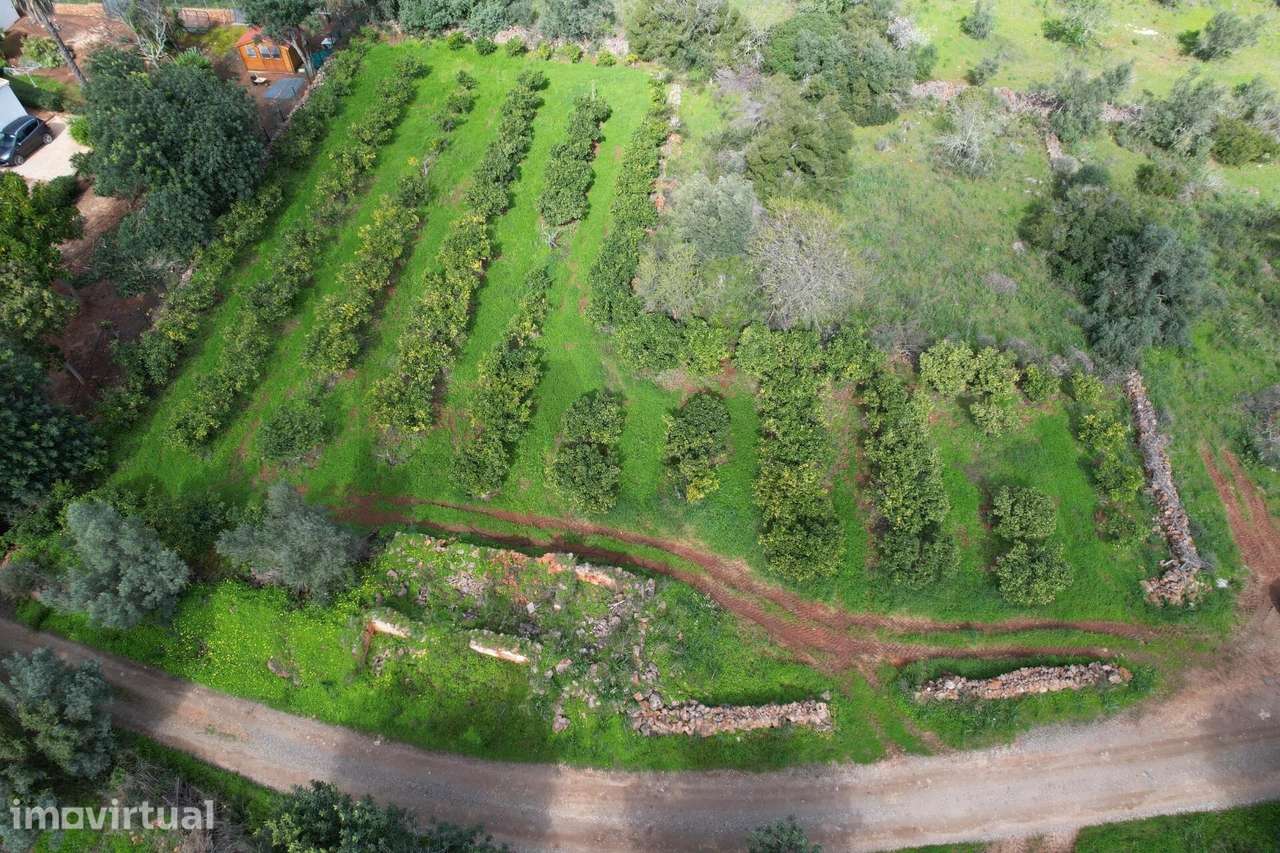 Silves – Messines – Carrascal | Ruína isolada com terreno | Construa a - Grande imagem: 4/19