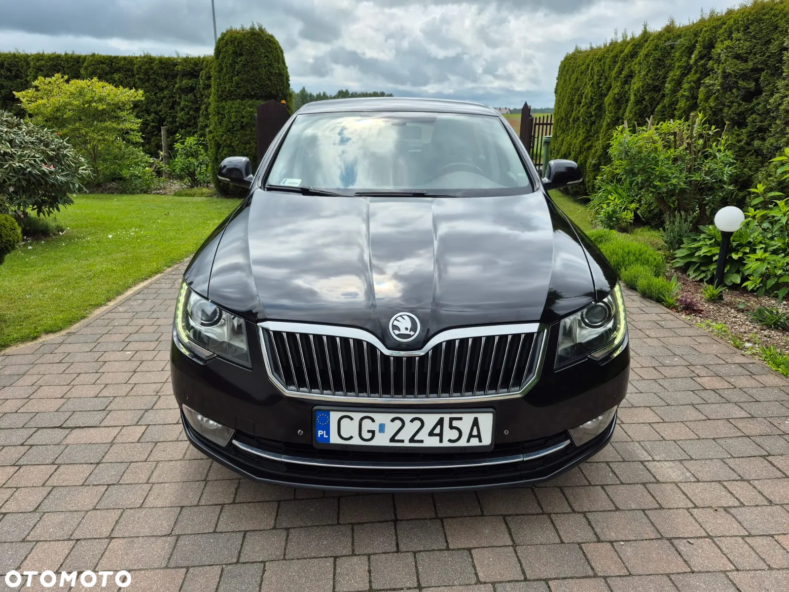 Skoda Superb 2.0 TDI Business DSG - 2