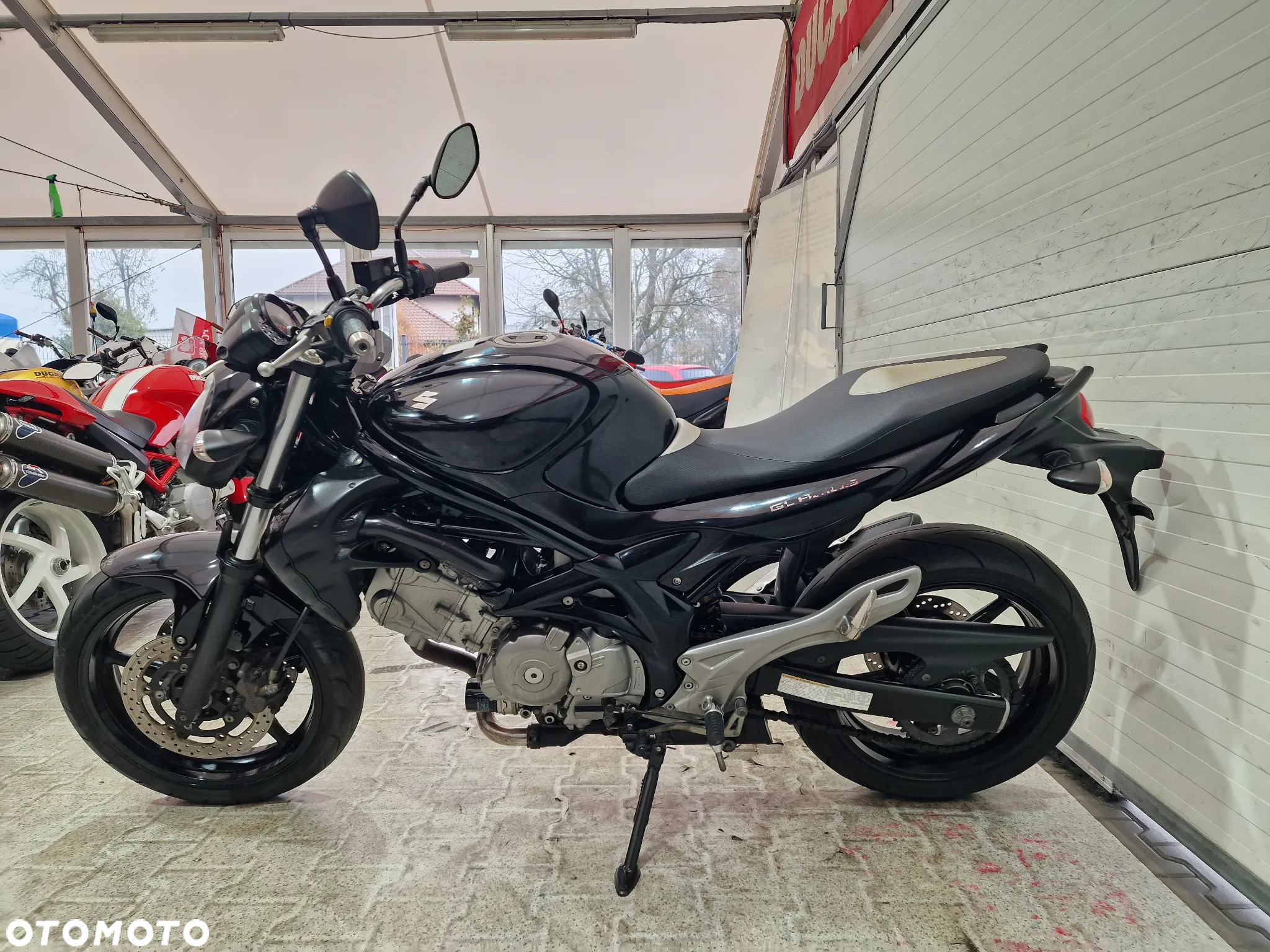 Suzuki Gladius - 15