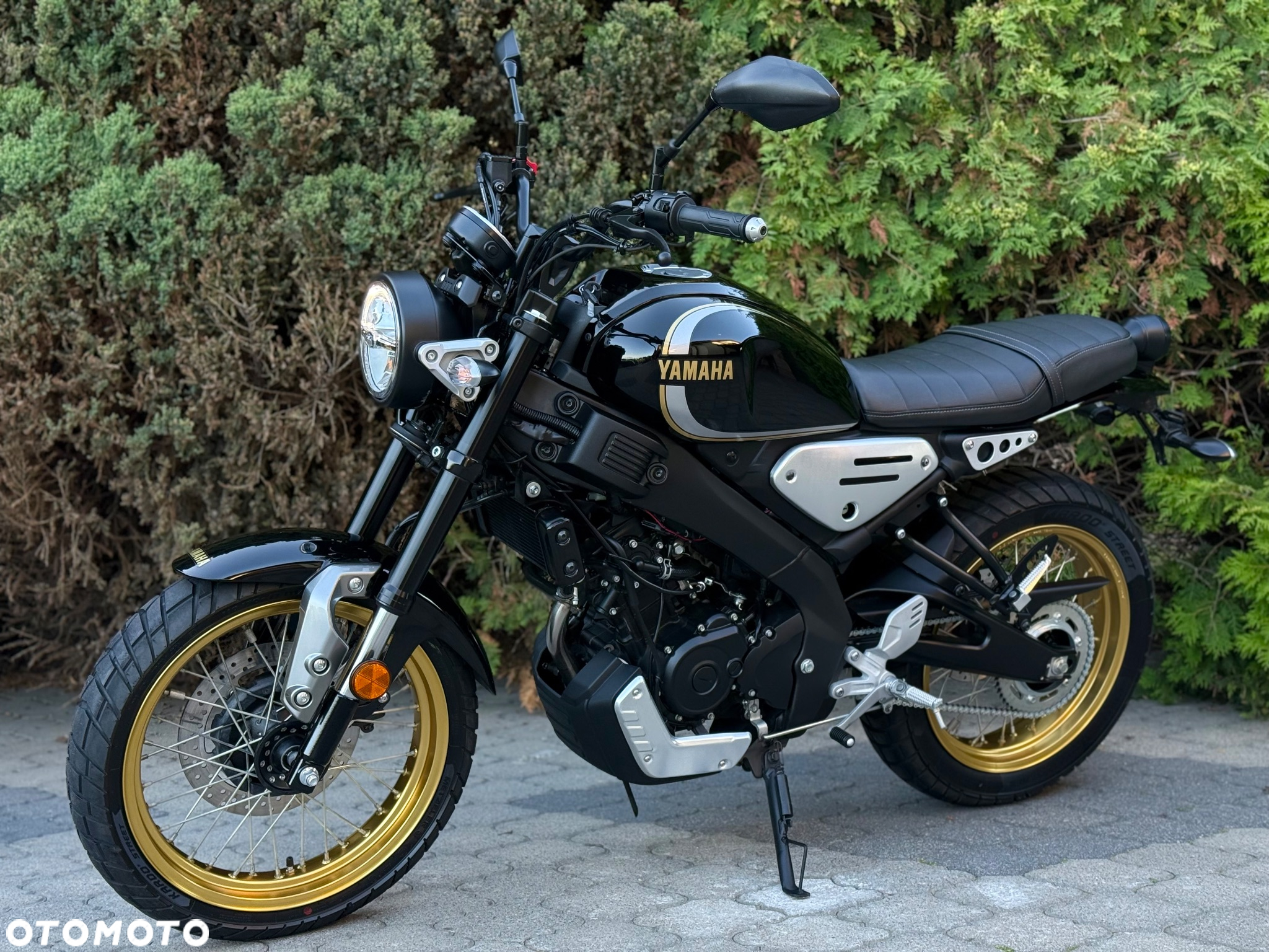 Yamaha XSR - 7