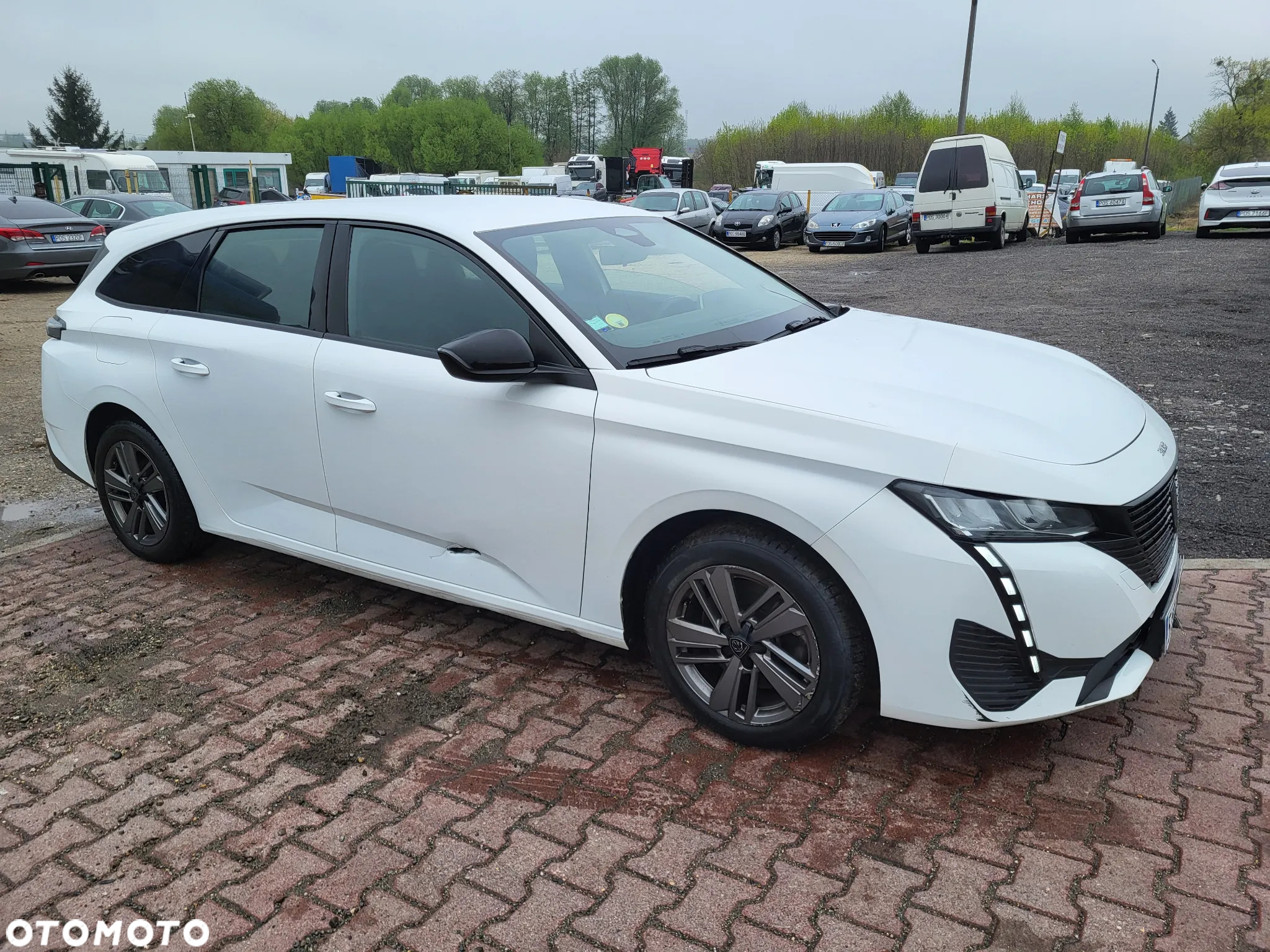 Peugeot 308 1.5 BlueHDi Active Pack Business S&S EAT8 - 12