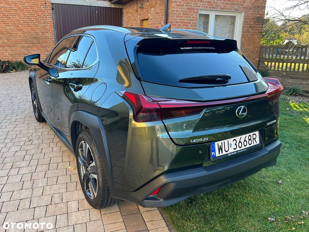 Lexus UX 250h GPF Business Edition 2WD - 13