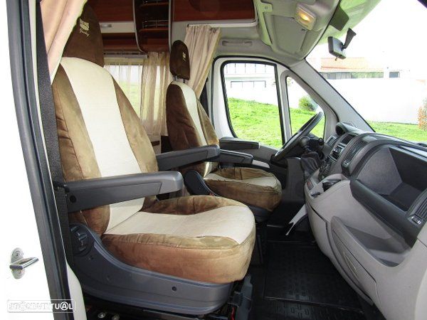 McLouis Yearling Série Limitada - 18