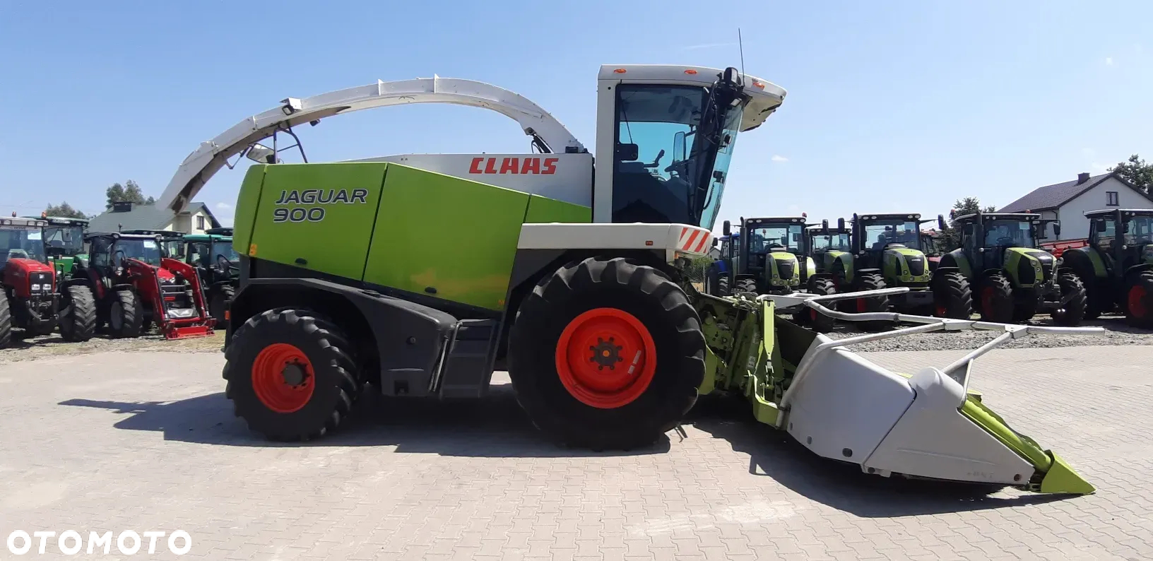 Claas Jaguar 900 - 2