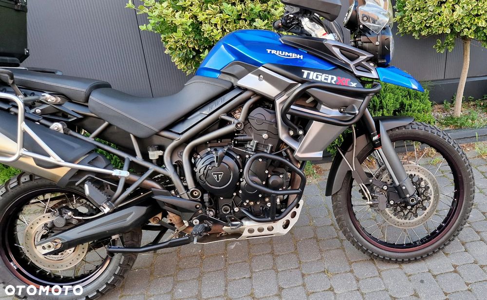 Triumph Tiger - 23