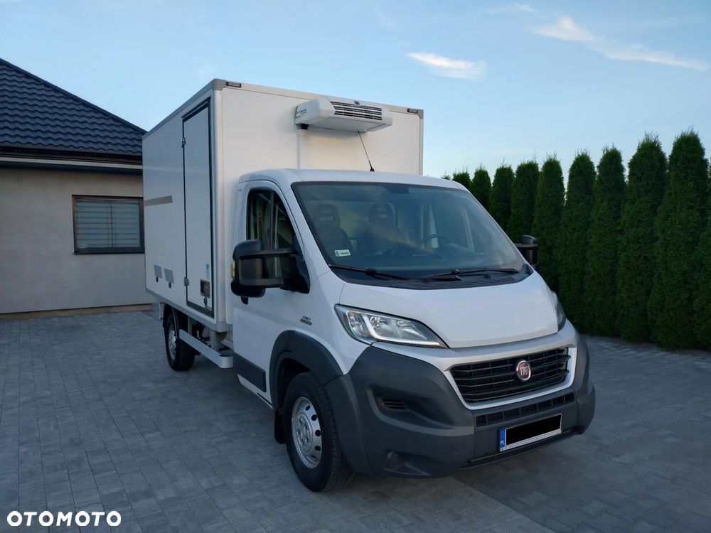 Fiat Ducato Chłodnia ThermoKing - 1