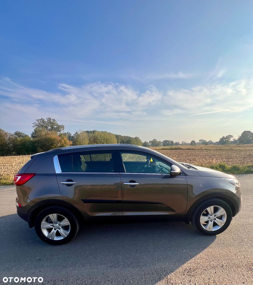 Kia Sportage - 6