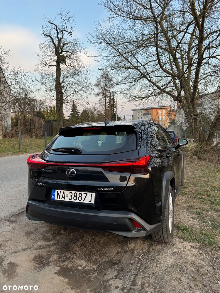 Lexus UX 250h Business Edition - 3