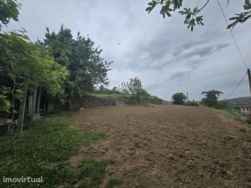 Casa para reconstrução ideal para turismo rural - Grande imagem: 5/12