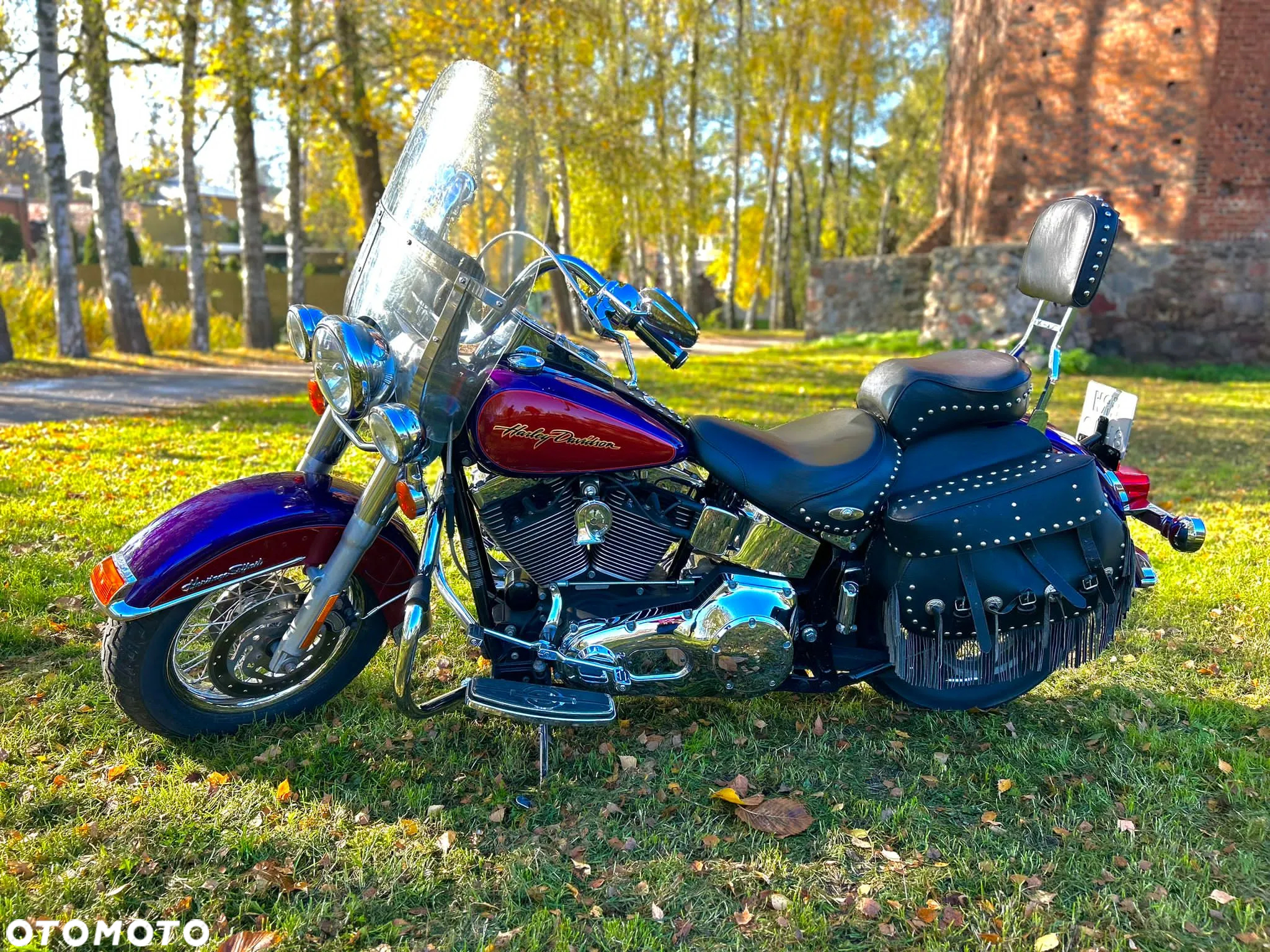 Harley-Davidson Softail - 8