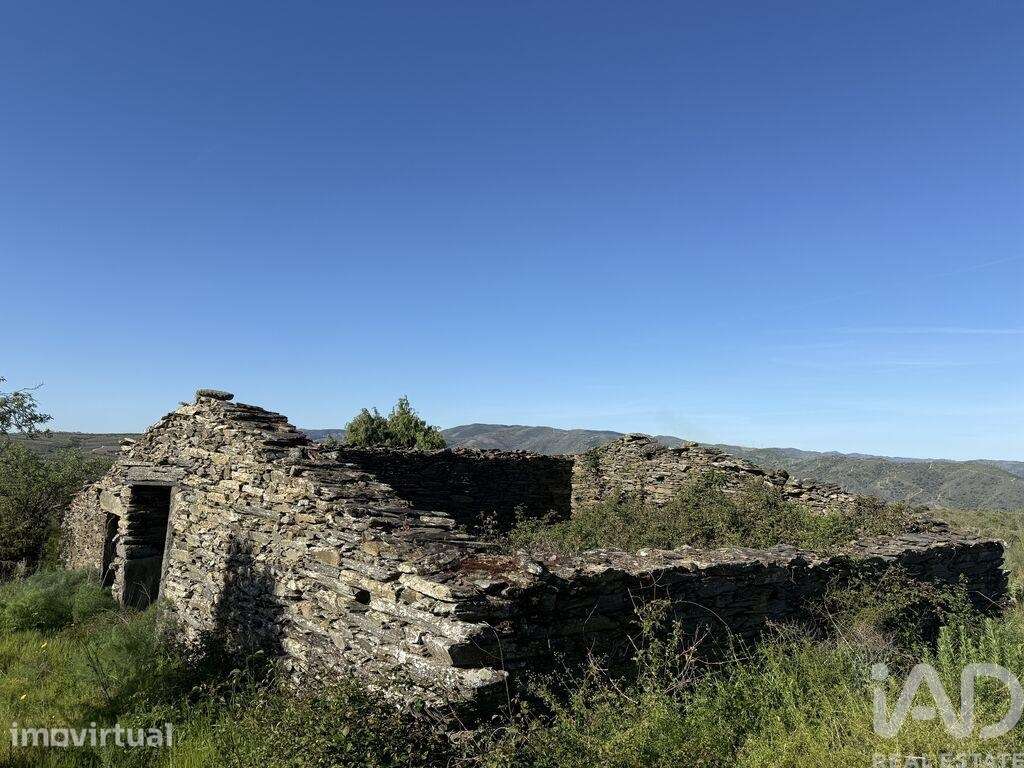Terreno Agrícola em Vila Nova de Foz Côa - Grande imagem: 5/14