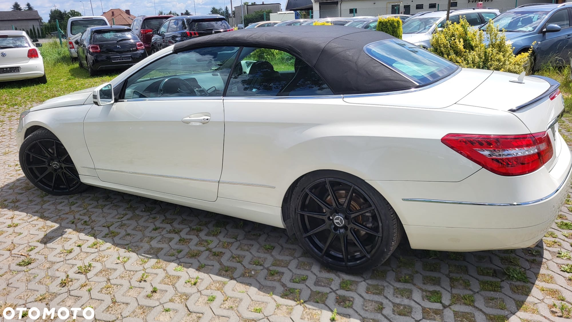Mercedes-Benz Klasa E 250 CGI Cabrio BlueEFFICIENCY Automatik Avantgarde - 22