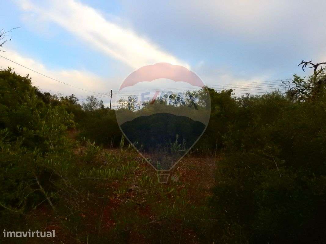 Terreno  para venda - Grande imagem: 4/13
