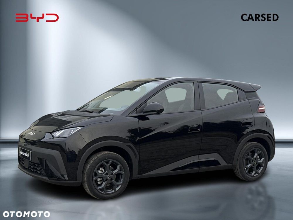 BYD Dolphin Surf - 1