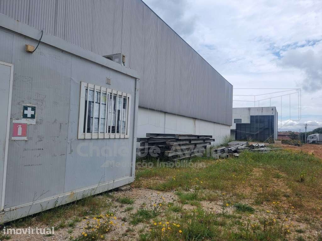 Armazém Industrial (Albergaria-a-Velha) - Grande imagem: 5/9