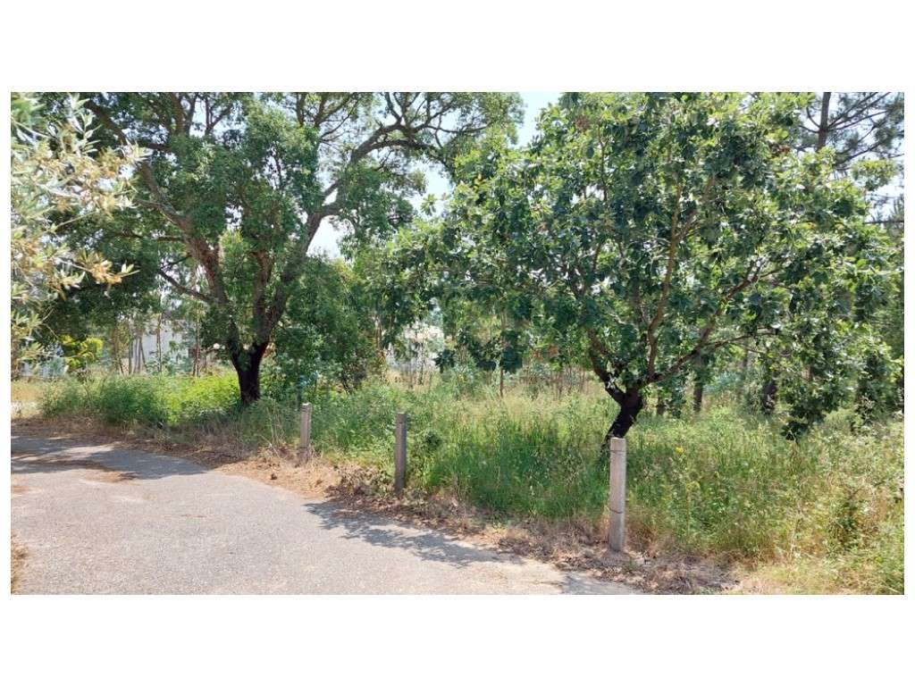 Terrenos para construção na vila de Monte Real - Grande imagem: 2/10