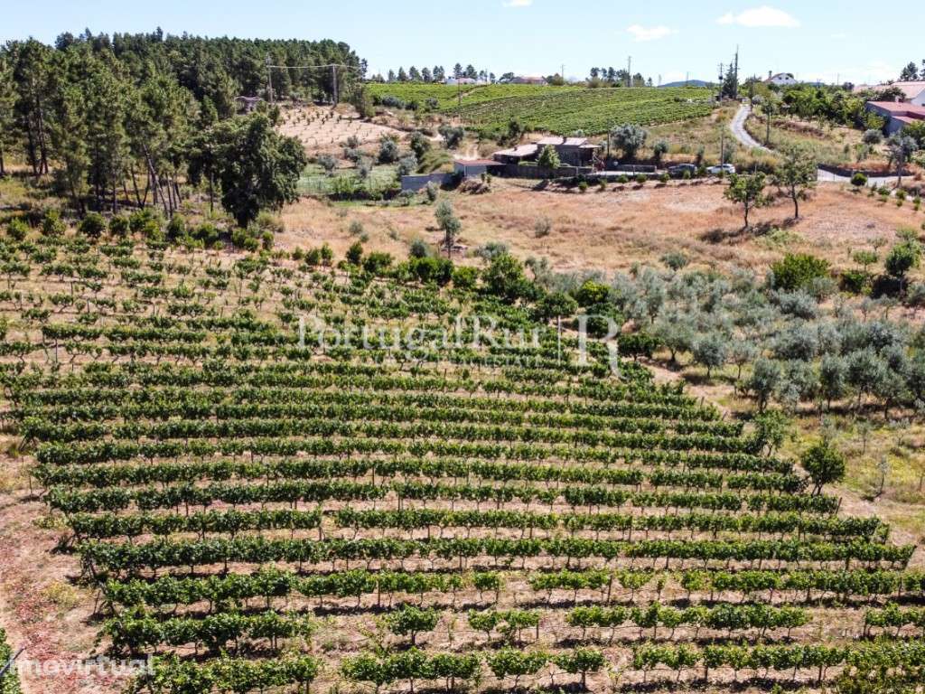 Quintinha rural com 16.000m2 com casa em xisto - Grande imagem: 5/60