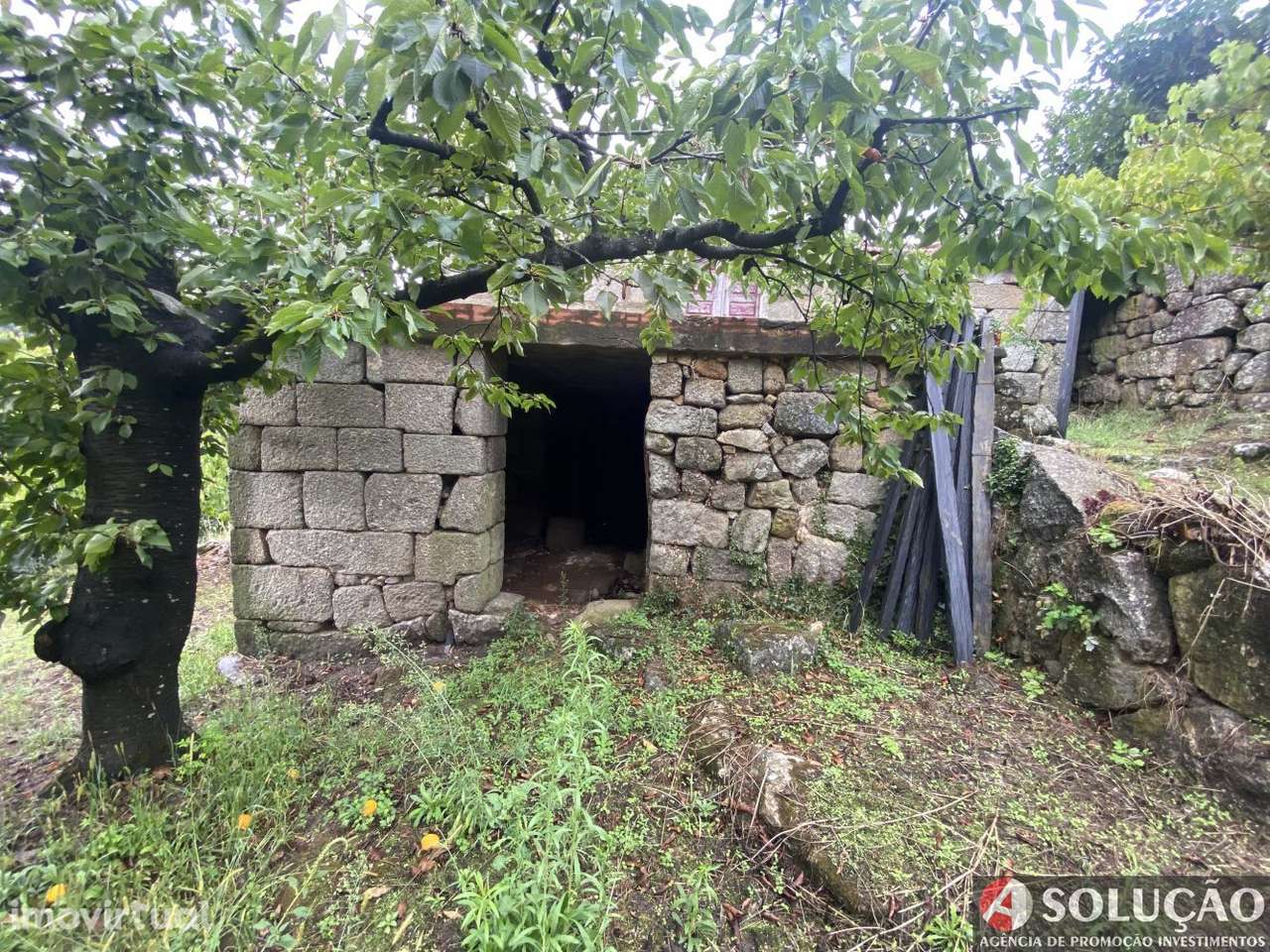 Quintinha Resende - Douro - Grande imagem: 5/21